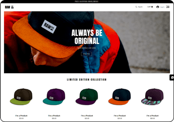 ZOYEQ Template 10 storefront preview